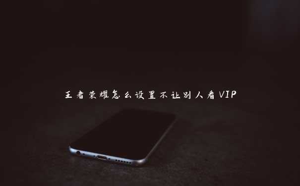 王者荣耀怎么设置不让别人看VIP